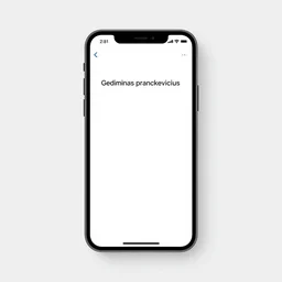 the interface of an iphone by gediminas pranckevicius