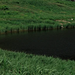 photo field with Lake with black Water reality