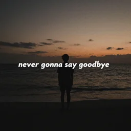 never gonna say goodbye