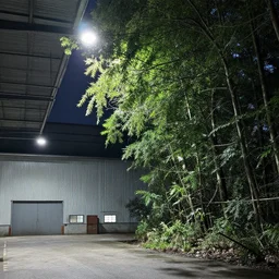 industrial warehouse with a winter forest growing side of it, bright lights above seeping through the leaves