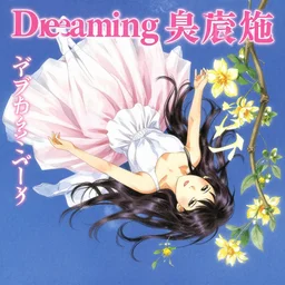 album cover of dreaming princess falling with katakana by conrad roset and akihiko yoshida