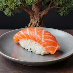 sushi with salmon, served on a grey plate with an oak tree in the background, hyperrealistic, extremely high detailed, drawing, concept art, high contrast, warn colors, 8 k,