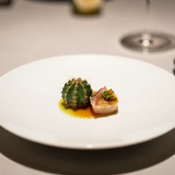 a fine dining plate of cactus, food photography, michelin star, fine dining, bokeh