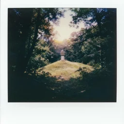 coming up hard on a soft hill. the city is a body and you ’ re on a journey to its heart a dream of druidic calm jungle dreams of pagan burial sites and the sunshine is all for you, double exposure, photography eerie 4 k haunted polaroid