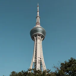 a tower on the edge of forever.