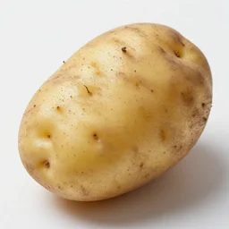 photo of the best potato in the world, f / 2. 8, documentary, high detail, studio photography. photography