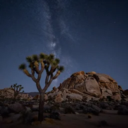 joshua tree national park, night sky