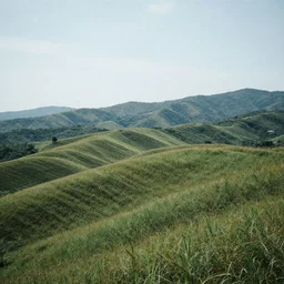 Landscape, with unity