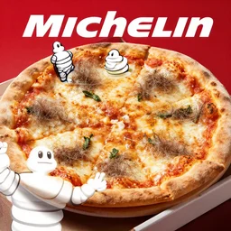 a pizza with hairs, Michelin star, promo photography