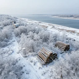 aerial perspective frostpunk wood resources, a lot of snow, coast, abandoned