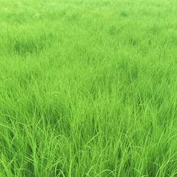 simple ghibli grass texture