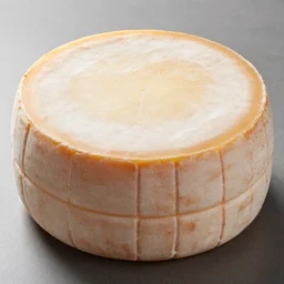 cheese wheel, photograph