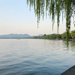 west lake, the garden of words, acg