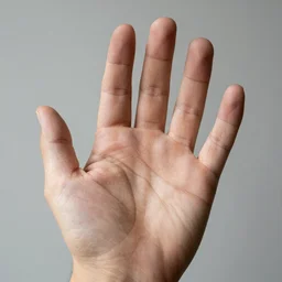 very accurate photo, very coherent image, hyper realistic photo of a hand, open palm