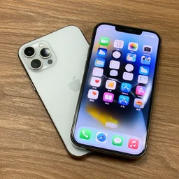 iphone 1 3 pro max