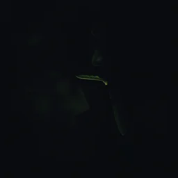 a womans face in profile made of leaf skeleton in the style of the dutch masters and gregory crewdson dark and moody - h 7 0 4 - i - s 2 4 2 8 1 4 1 1 6 ts - 1 6 6 0 0 8 1 4 0 8 idx - 5