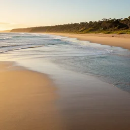 australian coast landscape in golden hour, high detail, high definition, photorealistic, 8k,