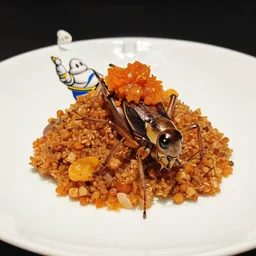 high resolution photo of crickets, michelin star, very tasty, food photography, instagram, trending