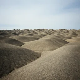 photo of a weird landscape