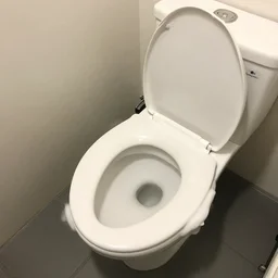 look at thing i found in my toilet