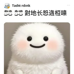 reddit dank memes, top post