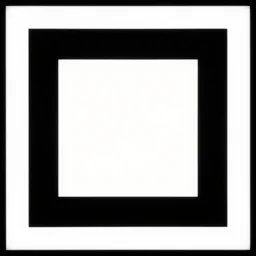 a completely black square on a white background