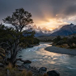 landscape photography, marc adamus, patagonia, a river, dramatic lighting, sunrise, tree in the foreground