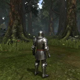 render of a short knight standing a poison forest, third person game screenshot 2 0 1 1, ps 3