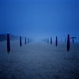 rows of open beach umbrellas lining a sandy beach, monsters, fog, deep blue mood, contemporary archival color photograph print from the original negative, by stanley kubrick