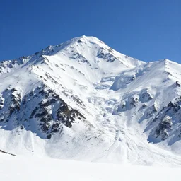 snowy mountain backdrop
