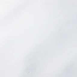 white pure white snow white image
