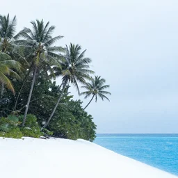 , snowing, snowstorm, snnow flakes, tropical rainforest, palm tres, rule of thirds, blue water in the right, landscape photo