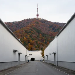 warehouses lining a street, with an autumn mountain directly behind it. radio tower on the mountain, lens compression. photography