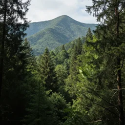 forest with mountains, realistic, 8 k, extremely detailed, cgi, trending on artstation, hyper - realistic render, by greg rutkowski