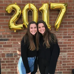 the year 2 0 1 7