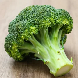 a broccoli with alligator mouth