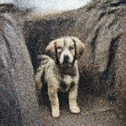 Puppy in ww1 trench, war photo, film grain