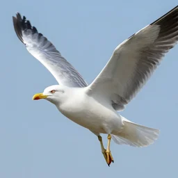 giant seagull, human arms instead of wings, extremely realistic, extremely detailed