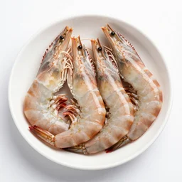 shrimp with big muscles