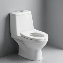 design a toilet for tall people