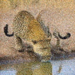 a photograph by Frans Lanting of leopard drinking water from an oasis