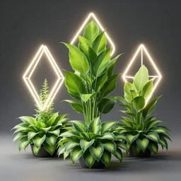 3 d render abundant flowering hosta plants made from ideas, 3 d geometric neon shapes, rule of thirds, clean linework, dramatic, award winning, 4 k, trending on artstation, photorealistic, volumetric lighting, octane render