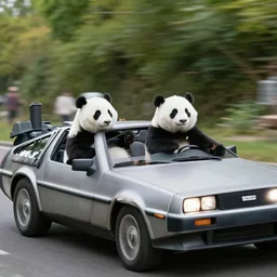 a Delorean being driven by pandas, dslr photo