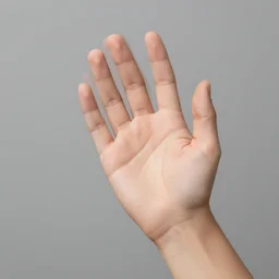perfect hand, realistic