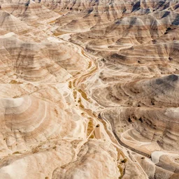 aerial overhead close up shot of badlands ground in a vector art screen print style with few bold colors with tuft grass and rocks in golden hour lighting
