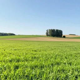 a ultra photorealistic and sharp film still of an a sunny and colourful open field in 1 9 1 6 in the middle of the bavarian alps, germany. wide shot, frog perspective, wes anderson, studio ghibli, pixar and disney animation, octane render, anime key art by greg rutkowski, dramatic lighting, award winning photography