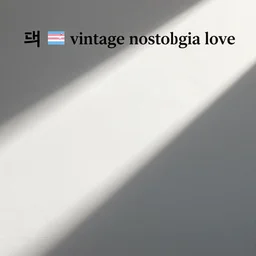 “💿📺💽🌆 🏳️‍⚧️🏳️‍🌈 vintage nostalgia love”