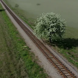 isolated train tracks with a apple tree on the side, bird - eye view, long shot, eeire, morbid, uncanny, unsettling