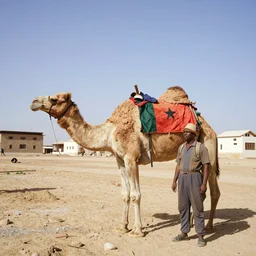 🎇🇲🇪🐪🧍🏽♂⛑ in the style of a 1 9 9 0's tourist photo