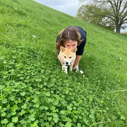 i saw you slobber over clovers on the side of the hill